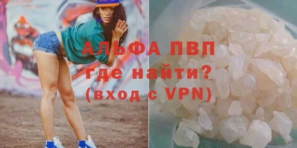 стаф Алексин