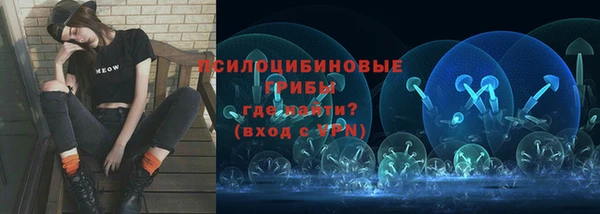 прущие крисы Алексеевка