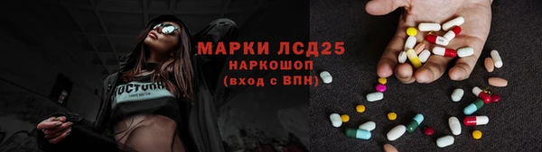 стаф Алексин