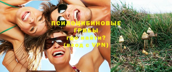 стаф Алексин