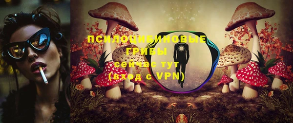 прущие крисы Алексеевка