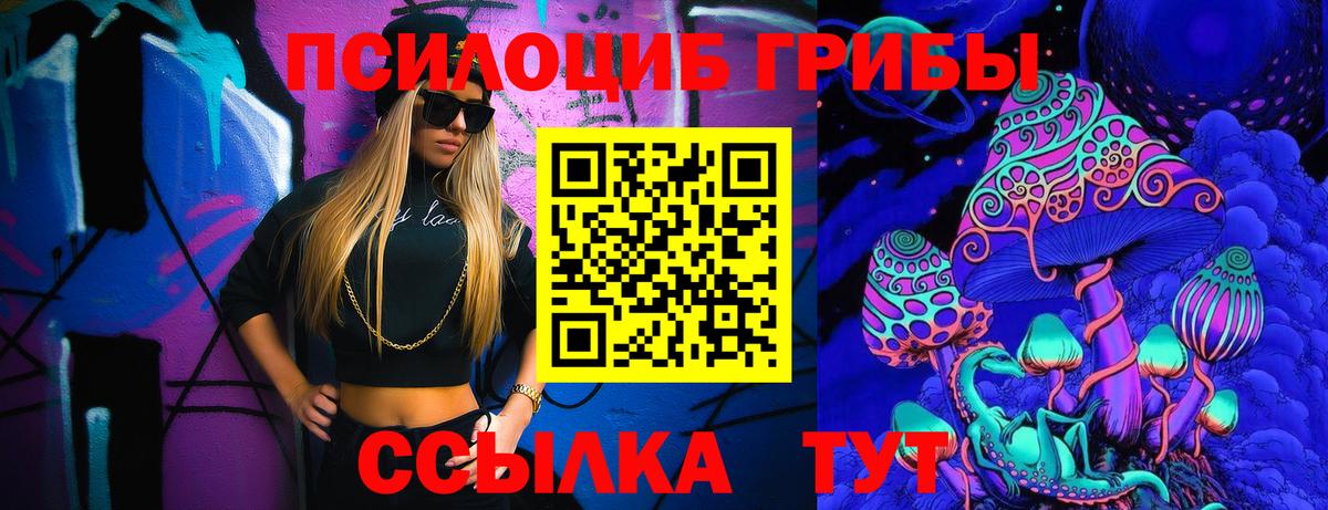Галлюциногенные грибы MAGIC MUSHROOMS  как найти закладки  Евпатория  Вход с VPN  Псилоцибиновые грибы Magic Shrooms 