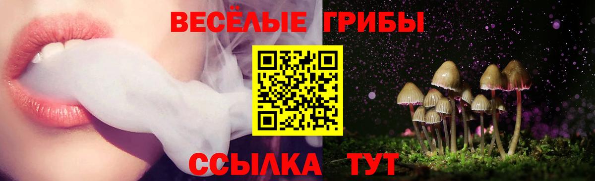 Псилоцибиновые грибы Magic Shrooms Евпатория